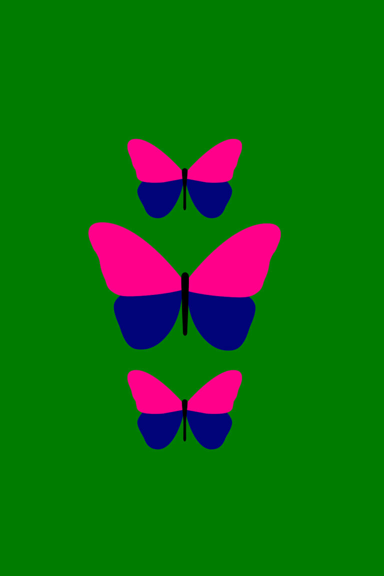 From Sketch to Screen: How I Built My Butterfly Collection